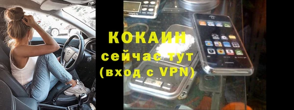 гашик Дмитров