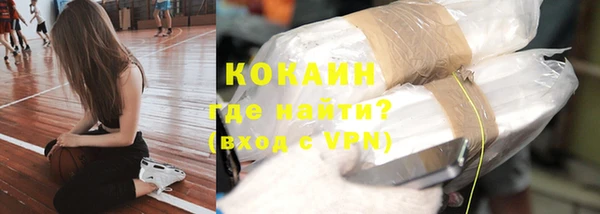 гашик Дмитров