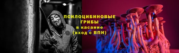 МДМА Дмитровск