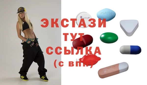 гашик Дмитров