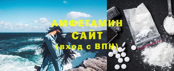 гашик Дмитров