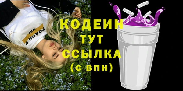 гашик Дмитров