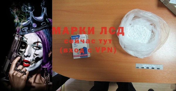 гашик Дмитров