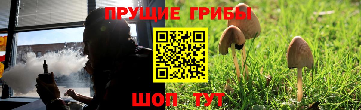Гашиш Сальск