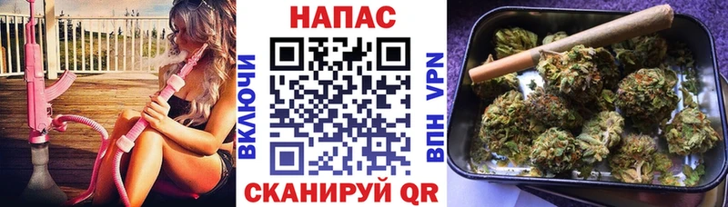 дарк нет какой сайт  блэк спрут   Сальск  Бошки Шишки AK-47 